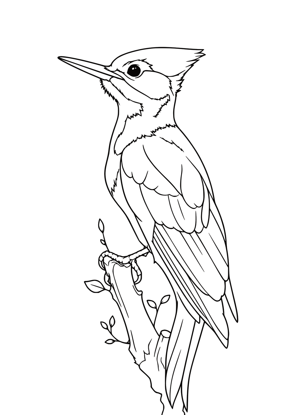 Forest Woodpecker coloring page